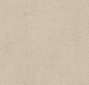 Beige Hotel Headboard with Double Nailhead Trim - bedroomBrownheadboardHUNTEDFOX - tan leather