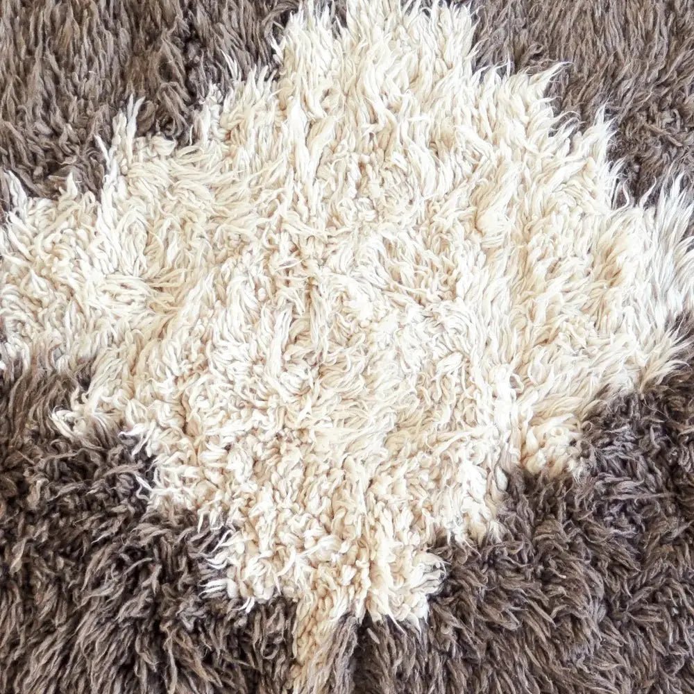Brown and White Shag Rug