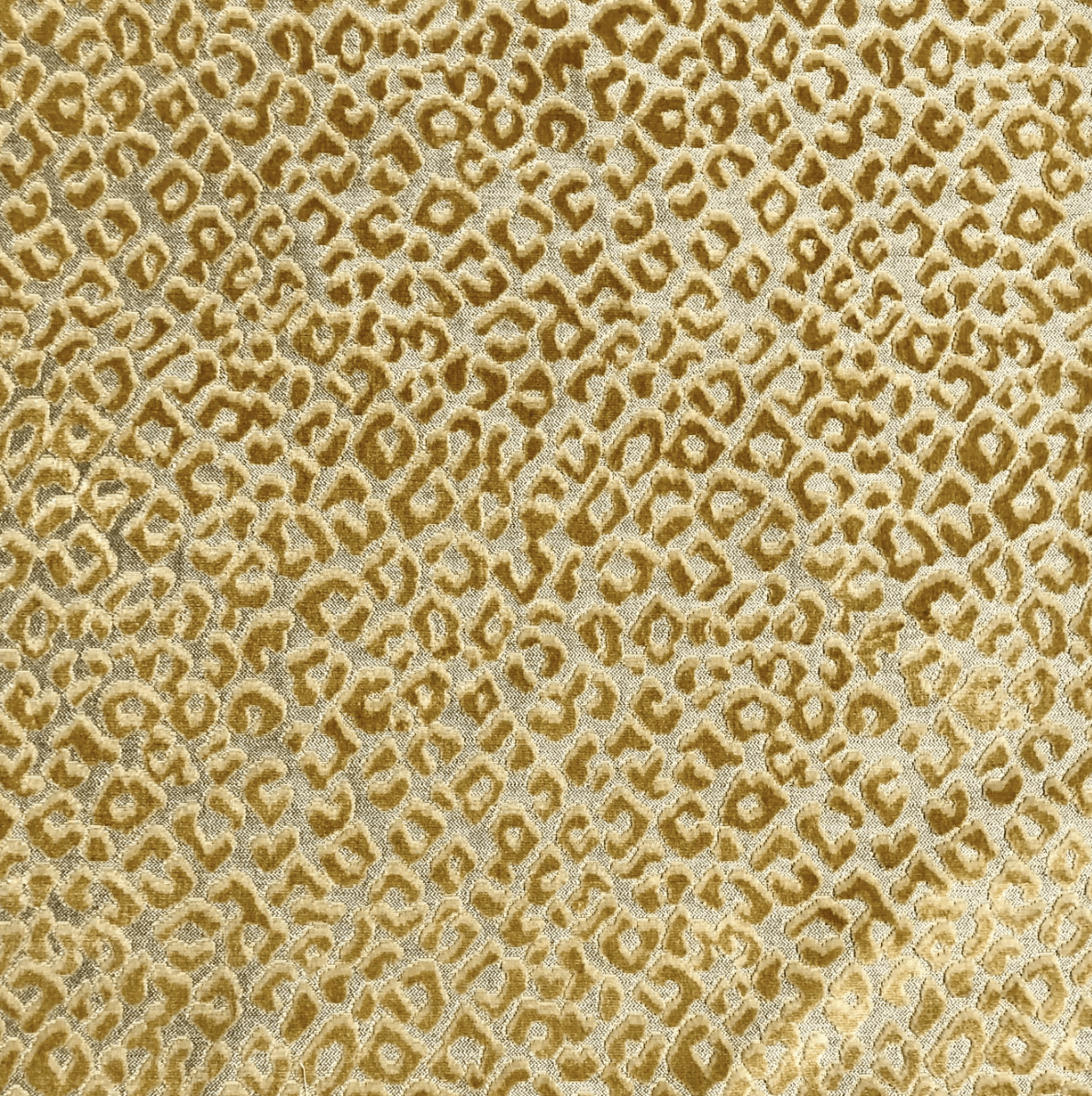 Fabric Samples – Performance Velvet & Upholstery Swatches - H|F AtelierShopify CollectiveHUNTEDFOX - Fabric Samples – Performance Velvet & Upholstery Swatches