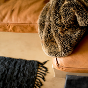 Custom Sofa Seating & Replacement Cushions