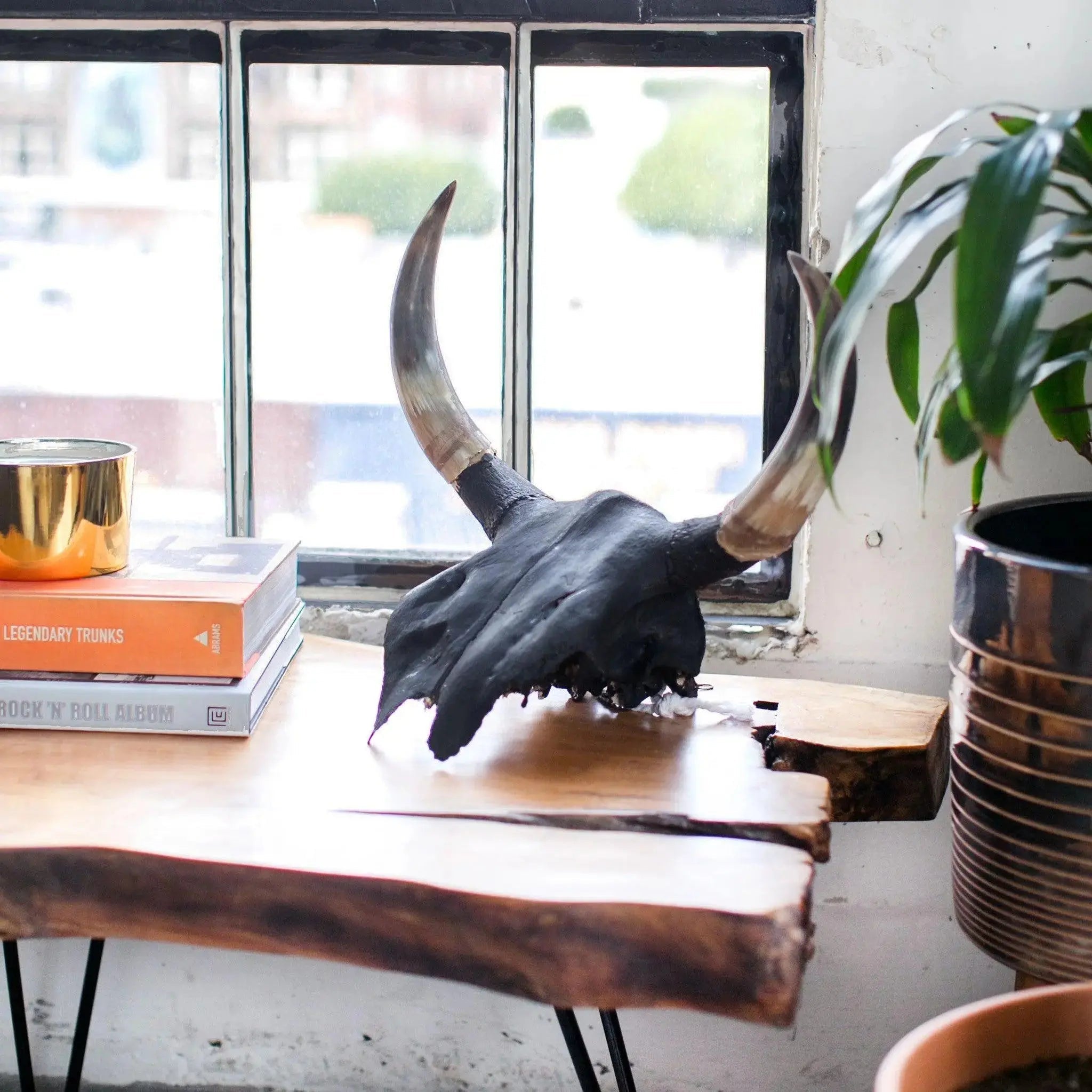 Chino Cow Skull - HUNTEDFOX