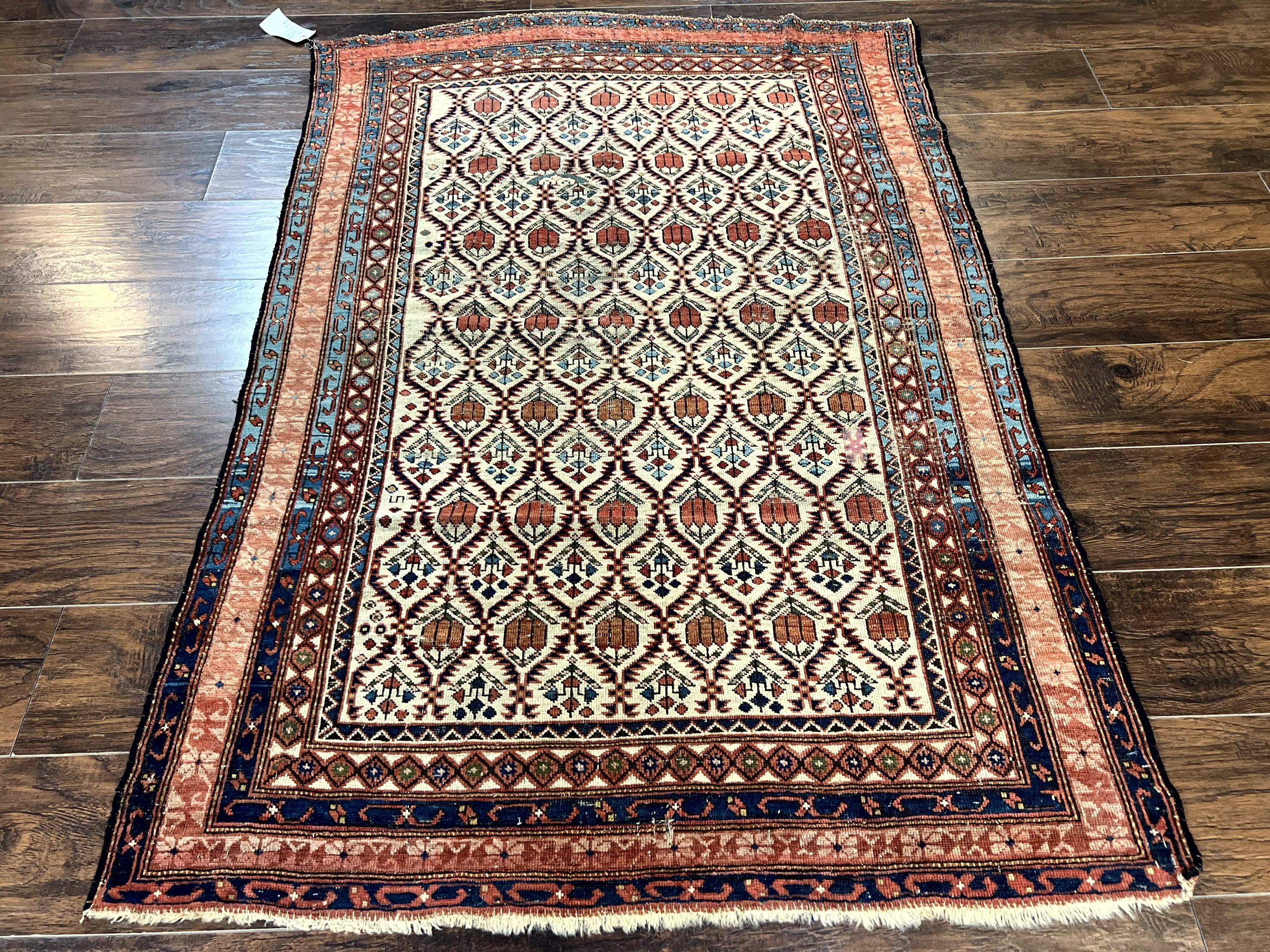 Antique Caucasian Rug 4x6, Hand Knotted Wool Carpet, Shirvan Rug