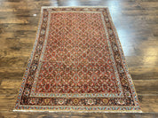 Antique Persian Bidjar Rug 5x7, Repeated Allover Herati Pattern, Red, Handmade Wool Carpet