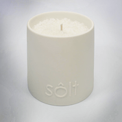Bask + Bronze Candle - HOME DECORShopify CollectiveSÔLT CANDLESHUNTEDFOX - Bask + Bronze Candle