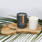 Bask + Bronze Candle - HOME DECORShopify CollectiveSÔLT CANDLESHUNTEDFOX - Bask + Bronze Candle