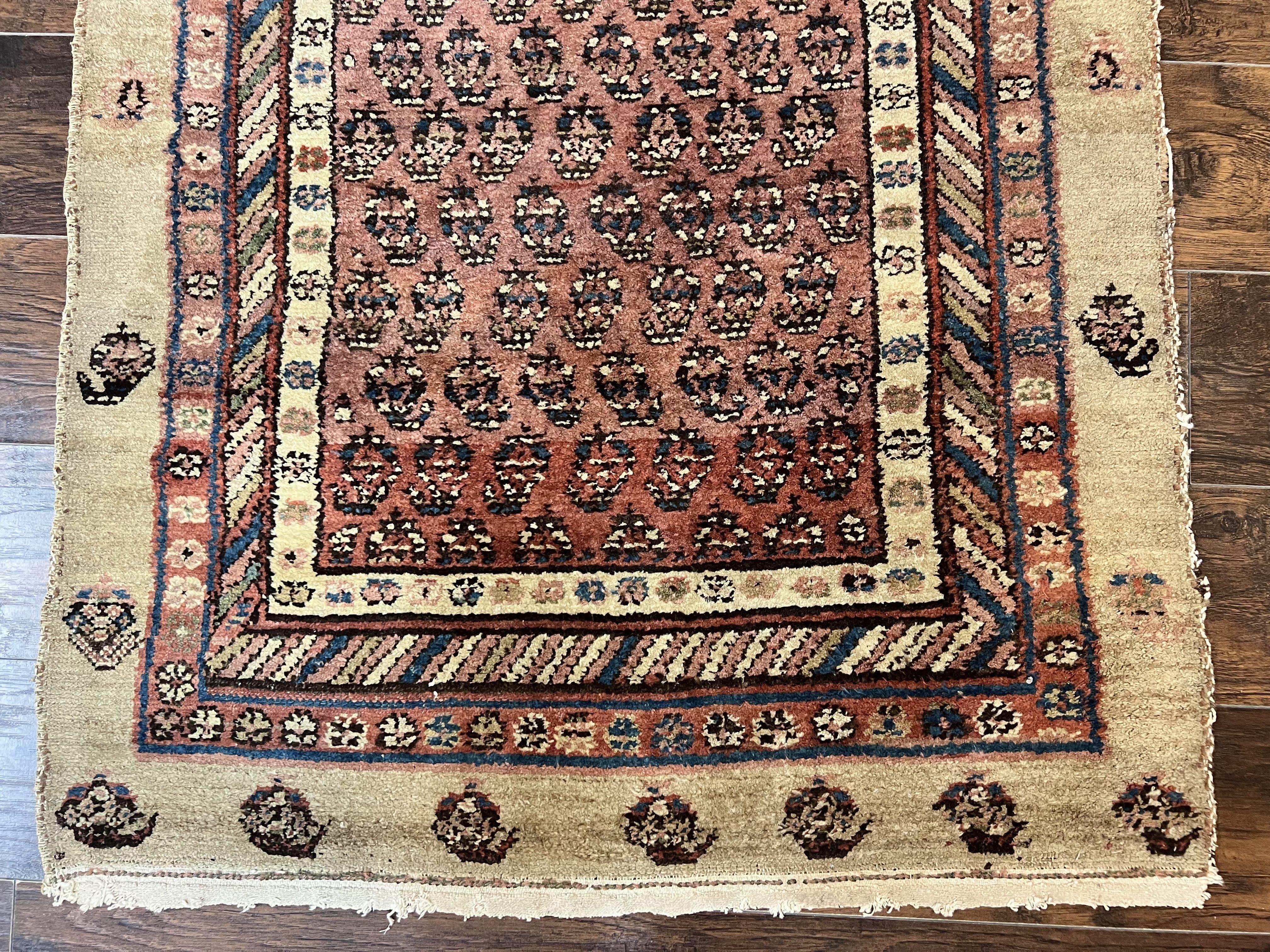 Antique Persian Sarab Runner Rug 3x11, Wool Camel Hair, Tribal Carpet for Hallway 3 x 11, Antique 1920s Rug, Handmade