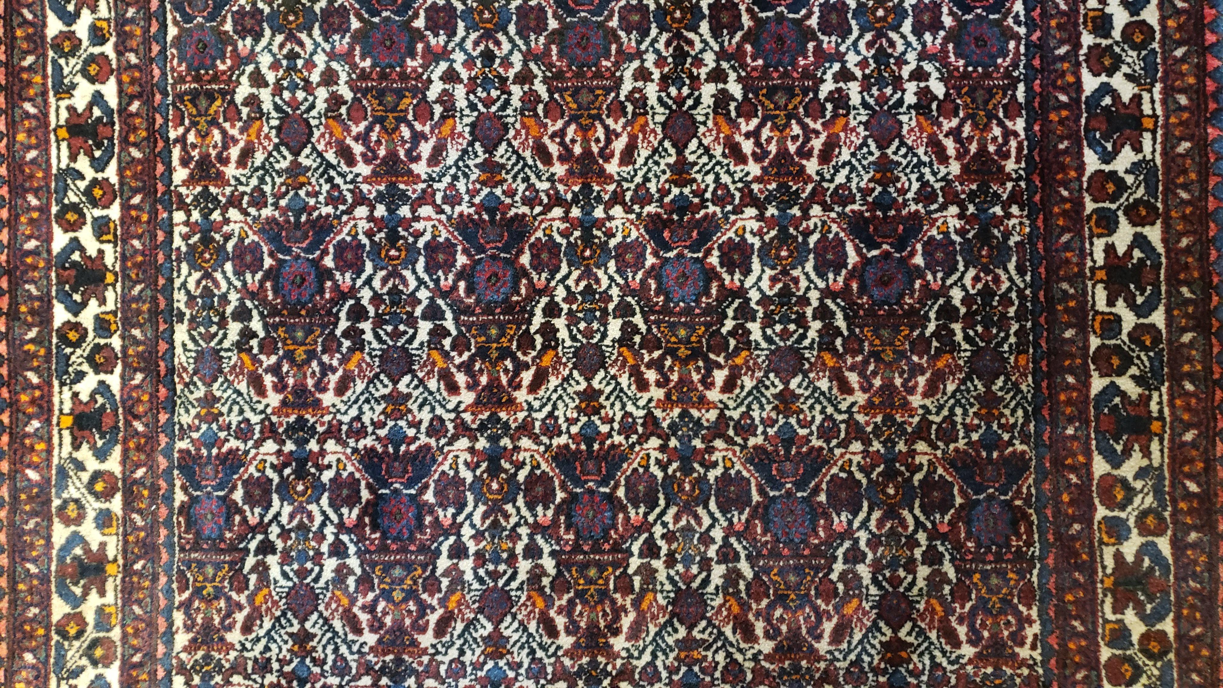 Persian Afshar Rug 3.6 x 5, Zili Sultan Pattern, Wool