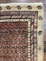 Antique Persian Sarab Runner Rug 3x11, Wool Camel Hair, Tribal Carpet for Hallway 3 x 11, Antique 1920s Rug, Handmade