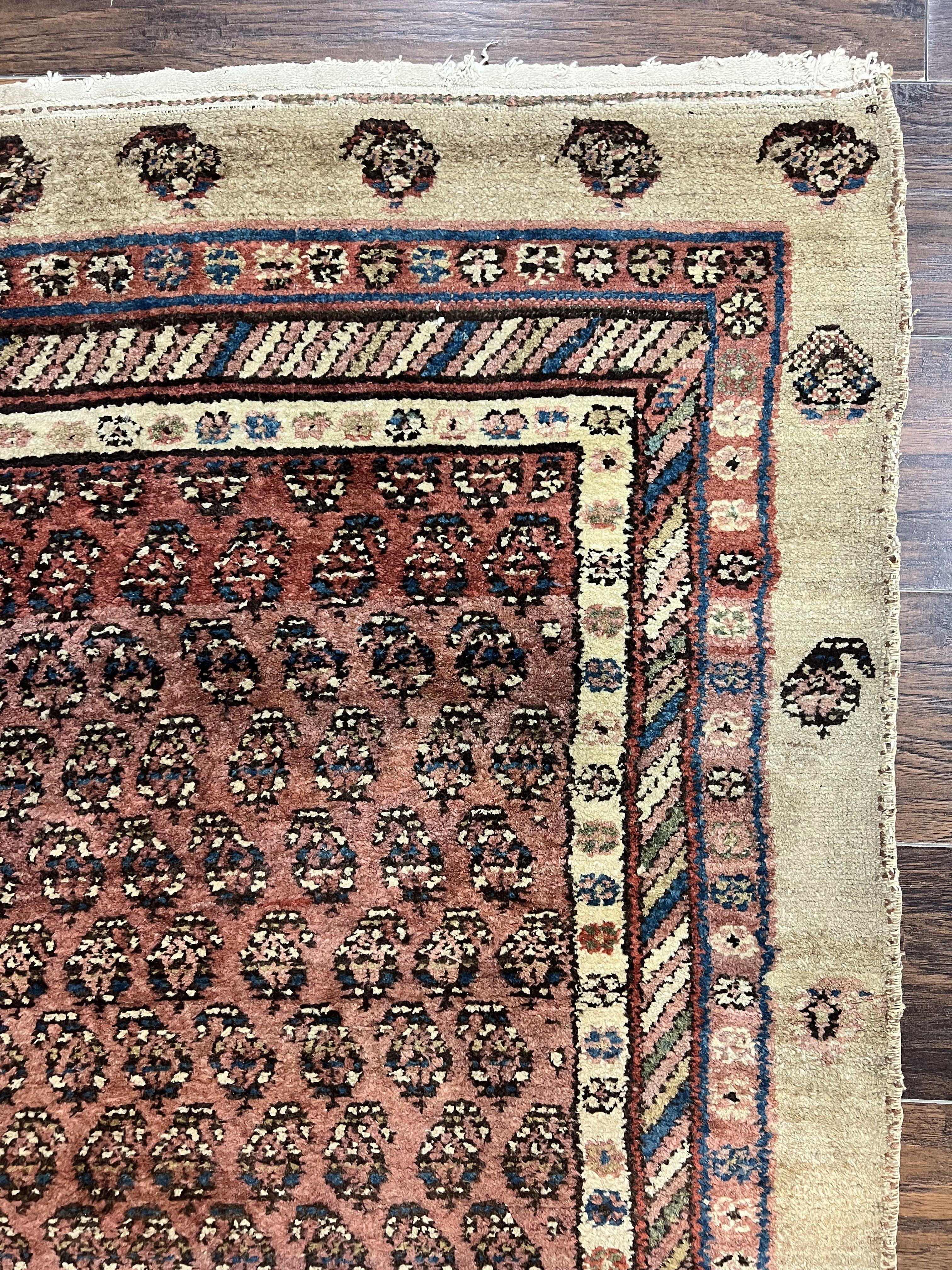 Antique Persian Sarab Runner Rug 3x11, Wool Camel Hair, Tribal Carpet for Hallway 3 x 11, Antique 1920s Rug, Handmade