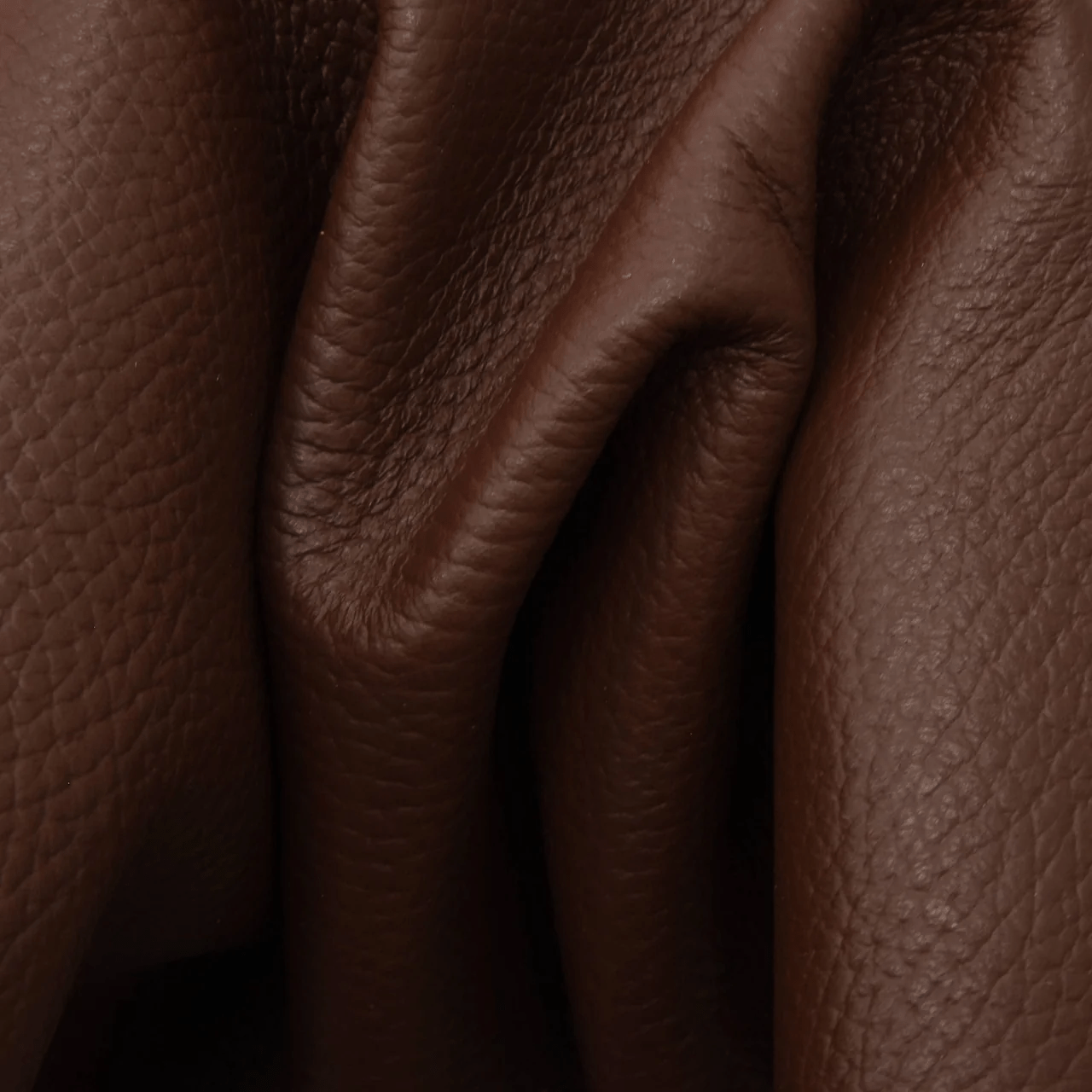Premium Leather Samples – Headboards, Ottomans & Seating - H|F AtelierShopify CollectiveHUNTEDFOX - Premium Leather Samples – Headboards, Ottomans & Seating