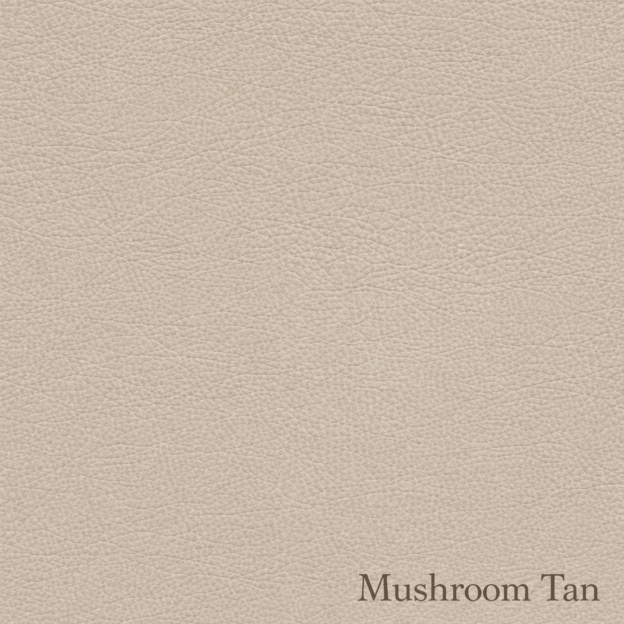 Samples | Leather - H|F AtelierShopify CollectiveHUNTEDFOX - Samples | Leather